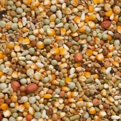 Beyers Premium Koopman All-In-One 20kg