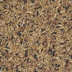 Gladen Kanarien Ohne Rübsen 20kg