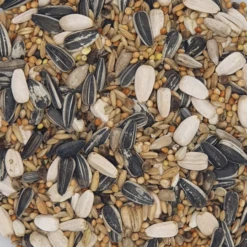 Gladen - Großsittich Vogelfutter - 5kg