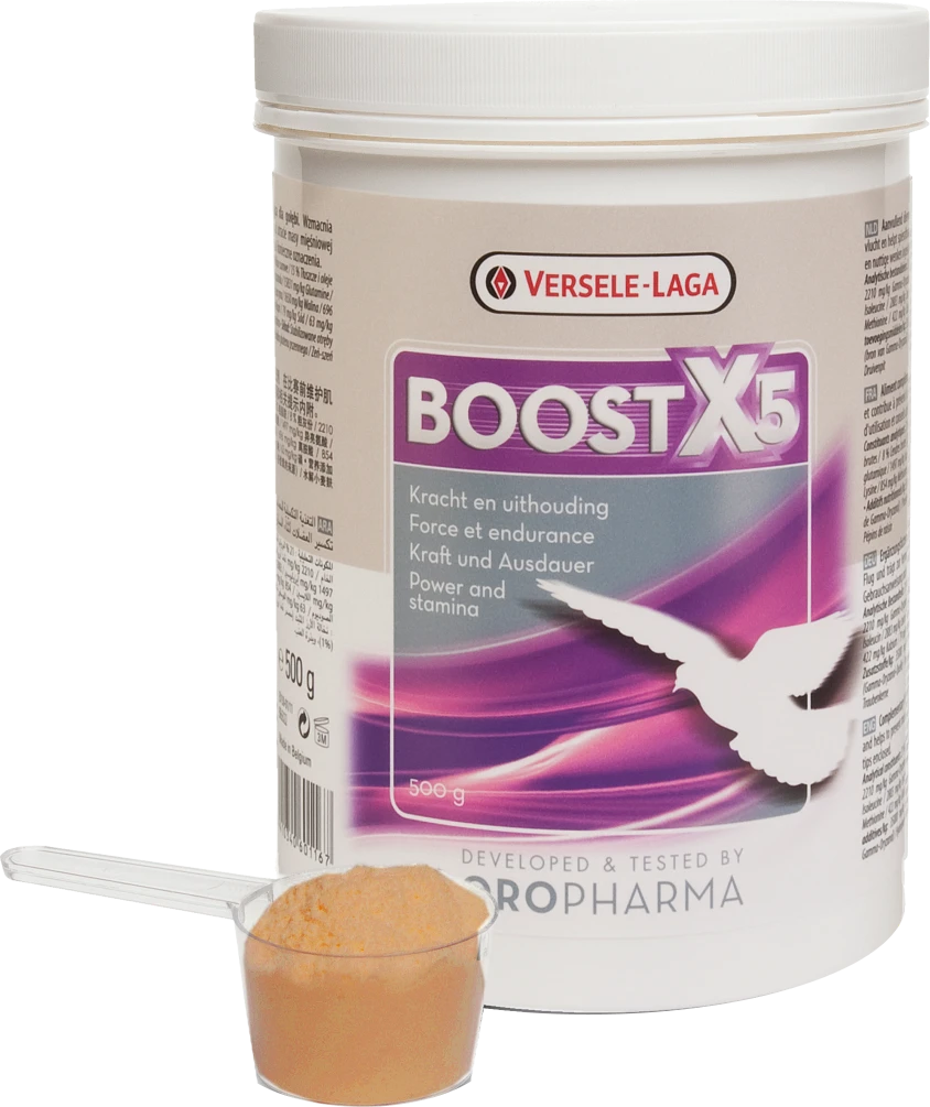 Oropharma Boost X5 500g 1 Oropharma Boost X5 500g