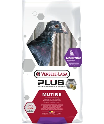 VERSELE-LAGA Versele Plus Mauser 22kg Promo 2 VERSELE-LAGA Versele Plus Mauser 22kg Promo – Bild 2