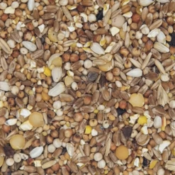 Gladen - Turteltaubenfutter - 5kg