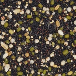 Gladen - Kanarienvogel Keimfutter- 2,5kg