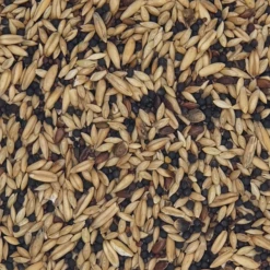 VERSELE-LAGA Versele Kanarien Classic 20kg