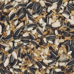 VERSELE-LAGA Versele Großsittiche Prestige 4kg