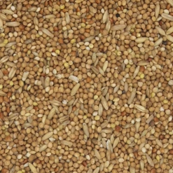 Versele Wellensittiche IMD Prestige 20kg +10% Gratis