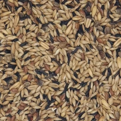 Versele Kanarien Zucht Ohne Rübsen Extra Prestige 20kg