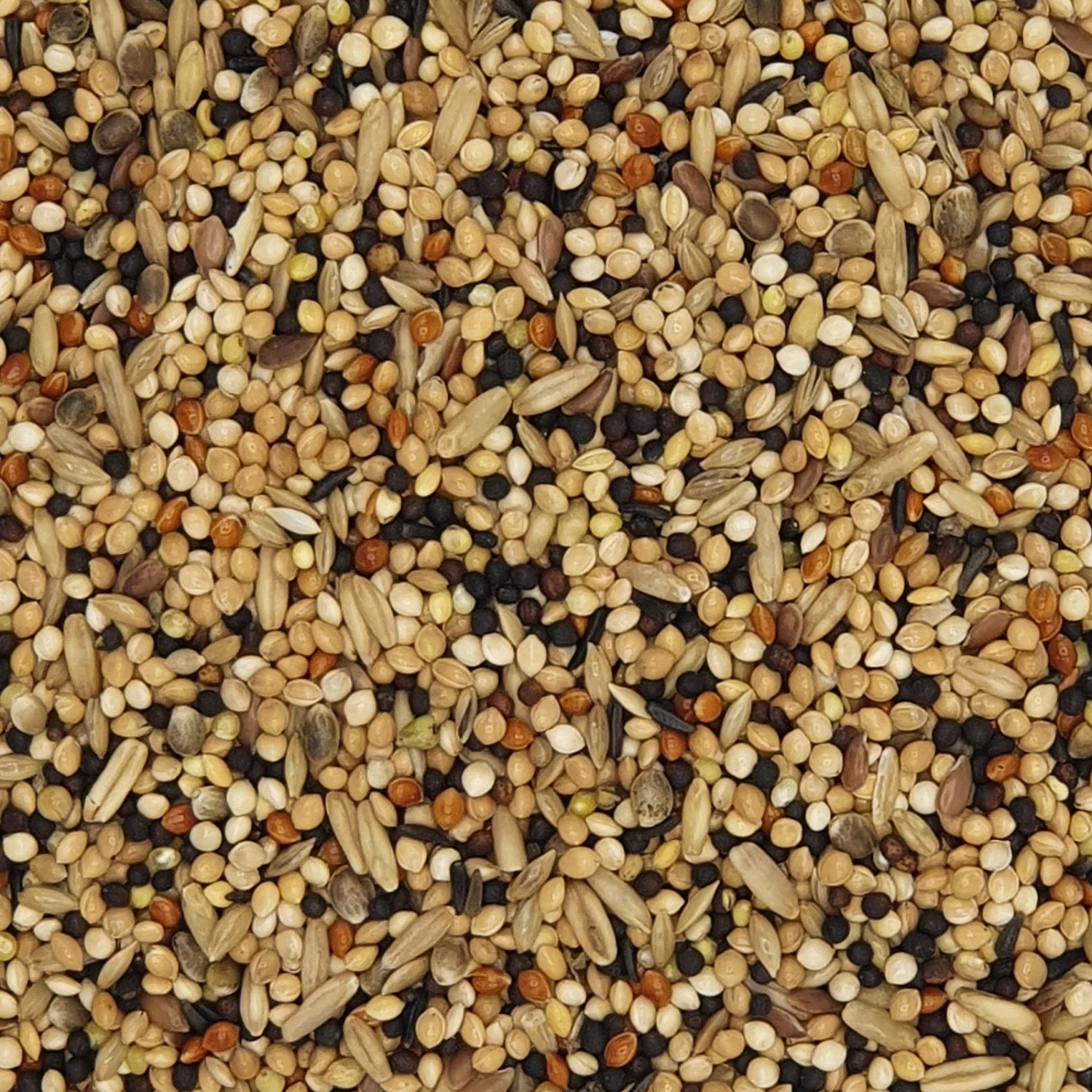 VERSELE-LAGA Versele Voliere Classic 20kg 1 VERSELE-LAGA Versele Voliere Classic 20kg