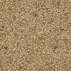 VERSELE-LAGA Versele Exoten Classic 20kg