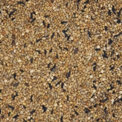 Versele Exoten Zucht Prestige 20kg