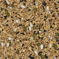 Gladen - Sittiche & Exoten - Vogel Keimfutter - 5kg