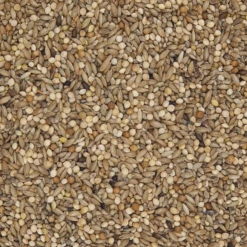 Versele Wellensittiche Jo Mannes - Euro Champ Prestige 20kg