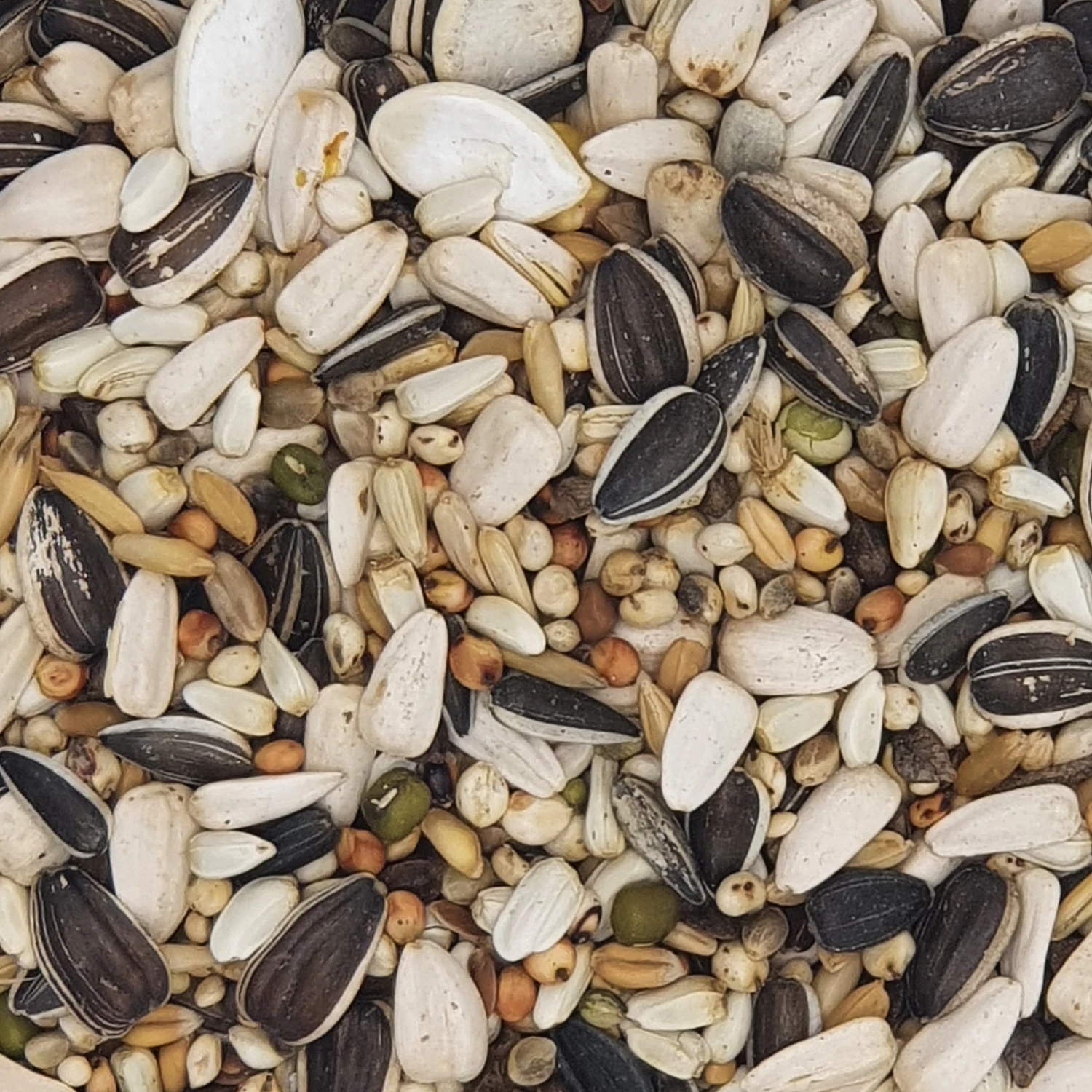 Versele Papageien Zucht Prestige 20kg 1 Versele Papageien Zucht Prestige 20kg