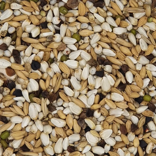 Gladen - Papageien Keim- & Quellfutter - 2,5kg 1 Gladen - Papageien Keim- & Quellfutter - 2,5kg