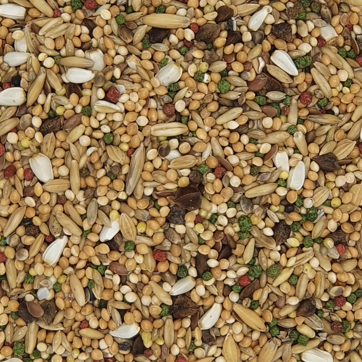 Versele Afrikanischer Großsittich Mix Loro Parque 20kg 1 Versele Afrikanischer Großsittich Mix Loro Parque 20kg