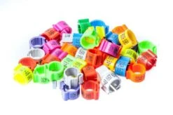 Kennringe Mit Telefonnummer Ø 8mm 50 Stück