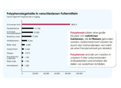 Versele Master Diät Relax 20kg -Muhle Gladen Geschaft antioxidantien 13