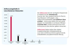 Versele Master Diät Relax 20kg -Muhle Gladen Geschaft antioxidantien 23
