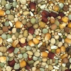 Beyers - Galaxy Zucht - Taubenfutter - 20kg