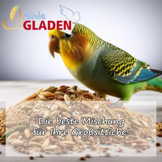 Gladen - Papageien Keim- & Quellfutter - 2,5kg 2 Gladen - Papageien Keim- & Quellfutter - 2,5kg – Bild 2