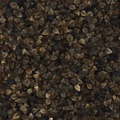 Buchweizen - Matador 25kg