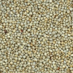 VERSELE-LAGA Dari Weiß - Versele 25kg