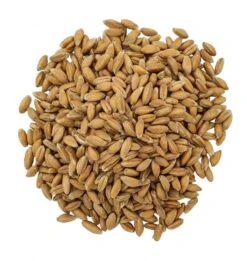 Gladen - Bio-Emmer - Speisegetreide - 1000g