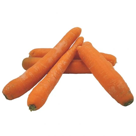 Futtermöhren 20kg 2 Futtermöhren 20kg – Bild 2