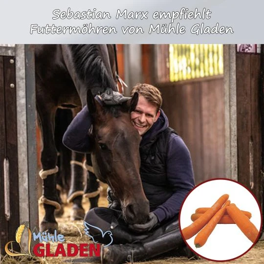 Futtermöhren 20kg 3 Futtermöhren 20kg – Bild 3