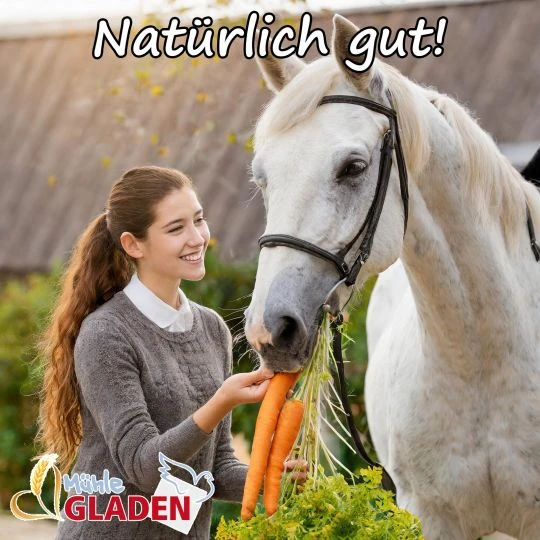 Futtermöhren 20kg 5 Futtermöhren 20kg – Bild 5