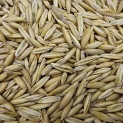 Gladen- Hafer - Futtergetreide - 20kg