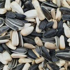 Gladen - Sonnenblumenkerne-Mix - Vogelfutter - 2,5 Kg