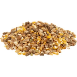 Versele Gold 4 Mix 20kg 5 Versele Gold 4 Mix 20kg -Muhle Gladen Geschaft gold4mixl