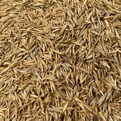 Grassamen - Vanrobaeys 15kg