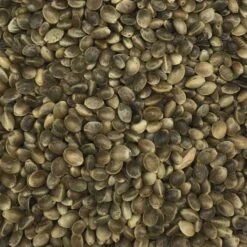 Gladen - Hanfsaat Mittel 1A Qualität - 2,5kg