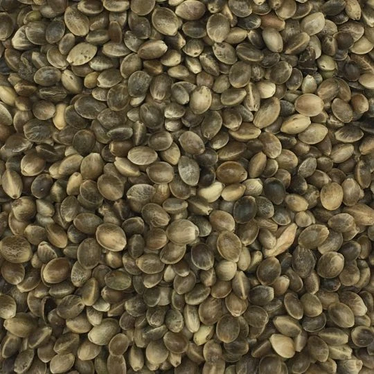 Gladen - Hanfsaat Mittel 1A Qualität - 2,5kg 1 Gladen - Hanfsaat Mittel 1A Qualität - 2,5kg