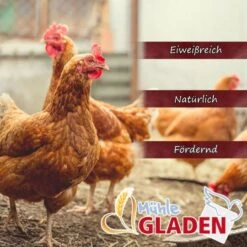 Start & Grow Aufzuchtpellets 5kg -Muhle Gladen Geschaft huhn futter6