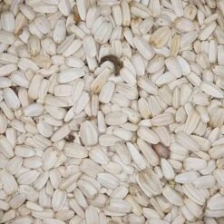 Kürbiskerne Weiß - Gladen 1000g