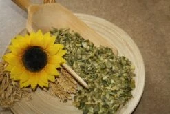 Kürbiskerne Konventionell, Geschält - Backzutat 25kg