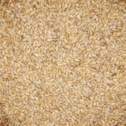 Leinsamen Gelb - Gladen 2,5kg