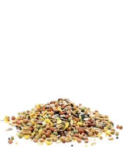 Muhle Gladen Geschaft -Muhle Gladen Geschaft minavital 2