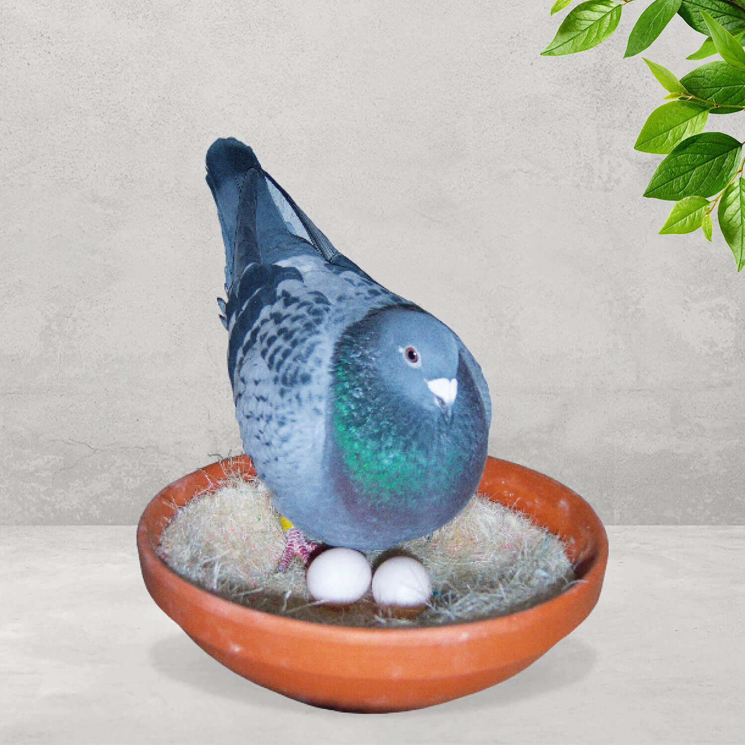 Nesteinlagen Sisal 50 Stück Ø 23cm - Teekontor 1 Nesteinlagen Sisal 50 Stück Ø 23cm - Teekontor