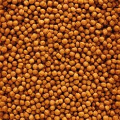 VERSELE-LAGA Versele NutriBird F16 800g