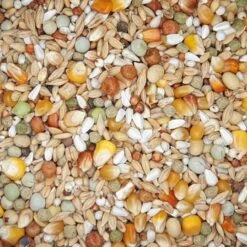 VERSELE-LAGA Versele - Plus Junior - Taubenfutter - 20kg