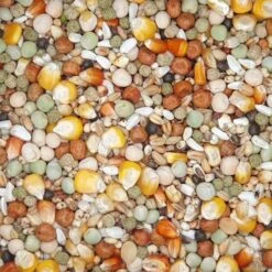 VERSELE-LAGA Versele - Plus Start - Taubenfutter - 20kg