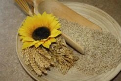 Sesam Naturell - Speisegetreide - 25kg