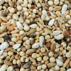 Spinne D.A. Sonderklasse 20kg