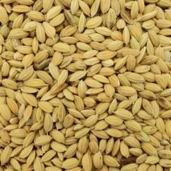 Gladen - Paddyreis - 20kg