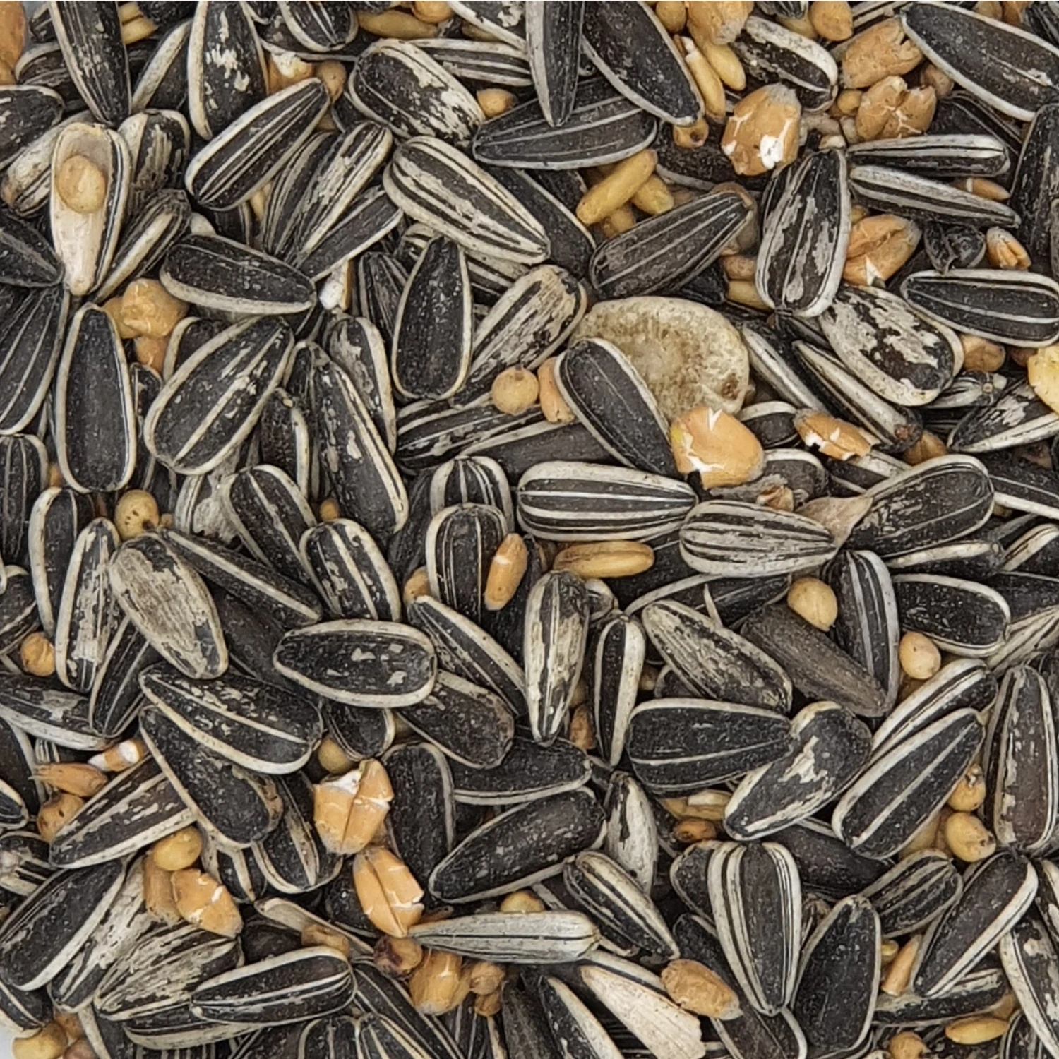 Gevo Streufutter Ohne Weizen 25kg 1 Gevo Streufutter Ohne Weizen 25kg