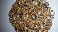 Paloma Nr.24 Diamond Sämereien 20kg